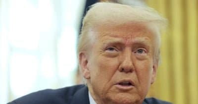 Trump-Linked Assets Collapse as Retail Investors Face Heavy Losses
