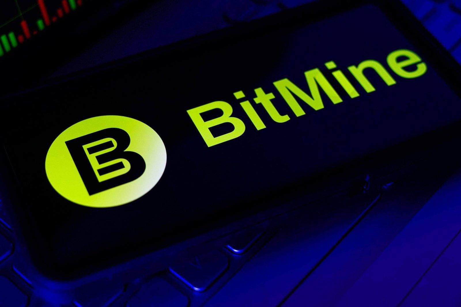 Bitmine Purchase of 20,500 ETH Increases Treasury Holdings