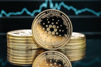 Cardano Leads Top-100 Cryptos with Strong Whale Buying and Network Upgrade Boost