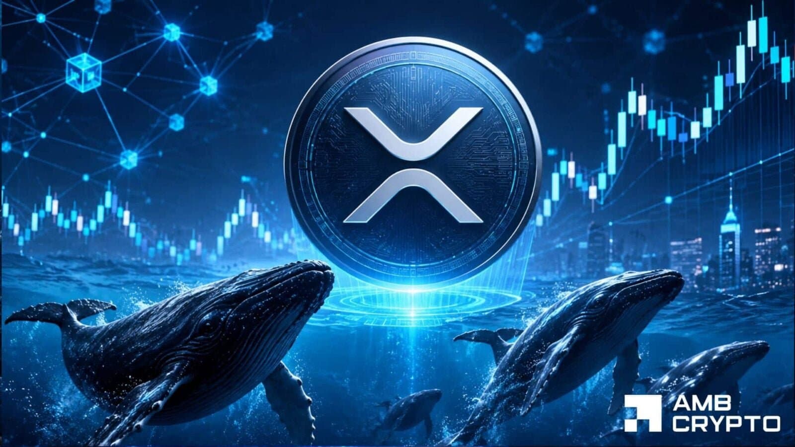 XRP Sees Accumulation of 70 Million Tokens Amid Market Consolidation