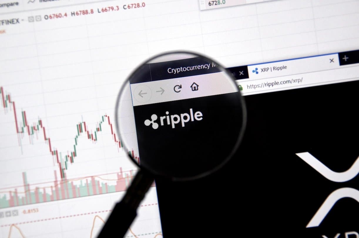 Significant Drop in XRP Whale Transactions Observed