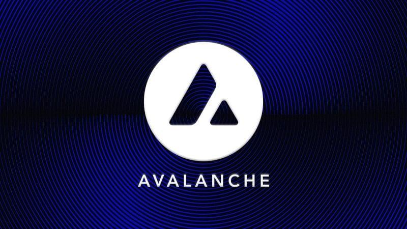 AVAX Holdings Erode 73% in Value, Raising Doubts Over Firm's Survival