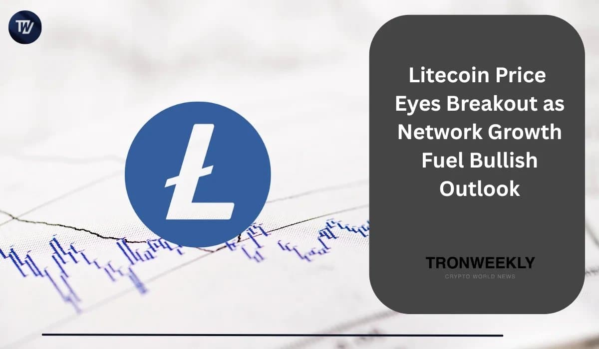 Litecoin Approaches Key Resistance Amid Rising Network Transactions