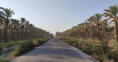 US Airstrikes Target Iranian Military Sites in Bushehr