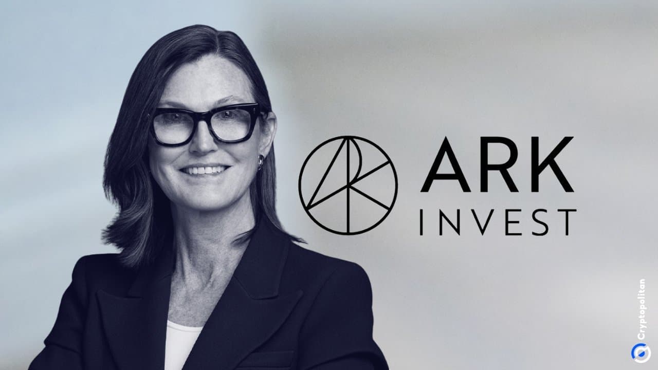 Cathie Wood doubles down on Circle and SpaceX despite market headwinds