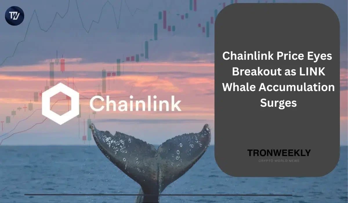 Chainlink Shows Potential for Bullish Breakout Amid Whale Accumulation