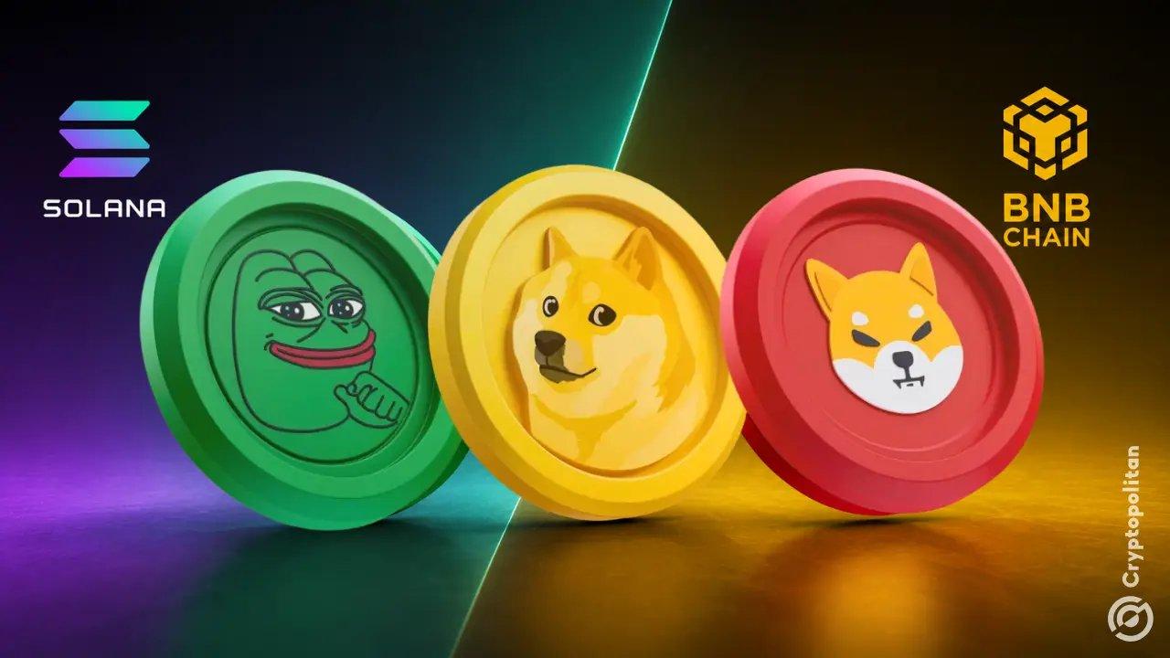 Surge in Meme Coin Trading Boosts Solana and BNB Chain Activity