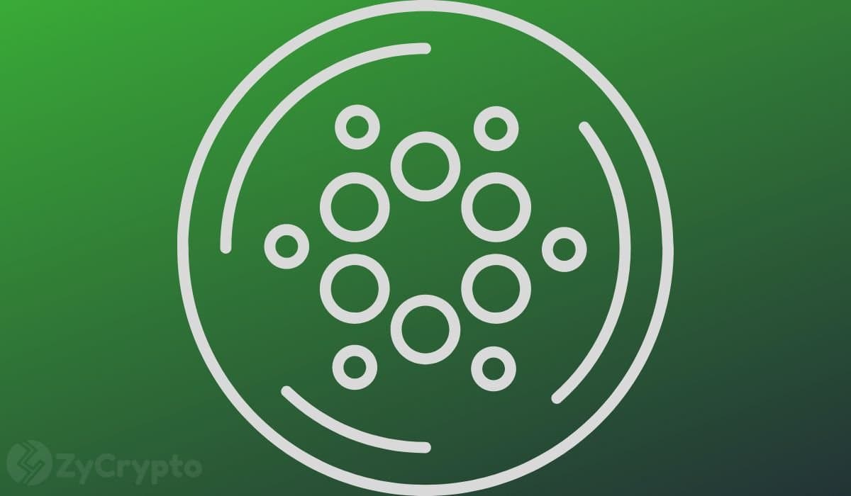 Cardano Advances Decentralization by Delegating Network Infrastructure