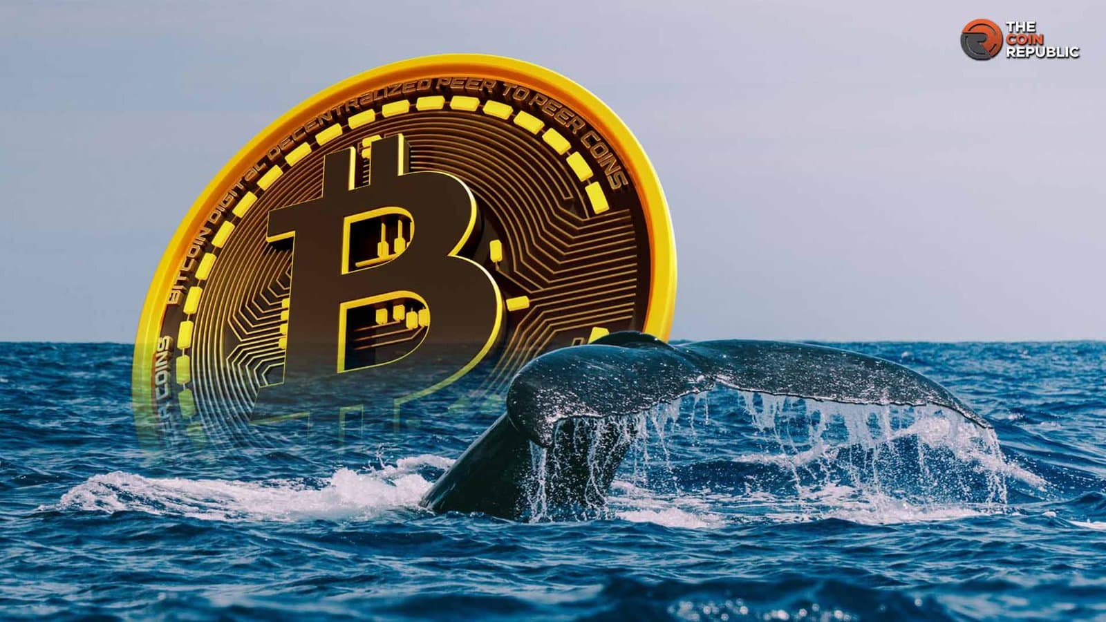 Bitcoin Whales Boost Buy Orders as Price Holds Key Support Level