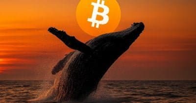 Nakamoto Inc. Stock Climbs 18% Amid Bitcoin Rally