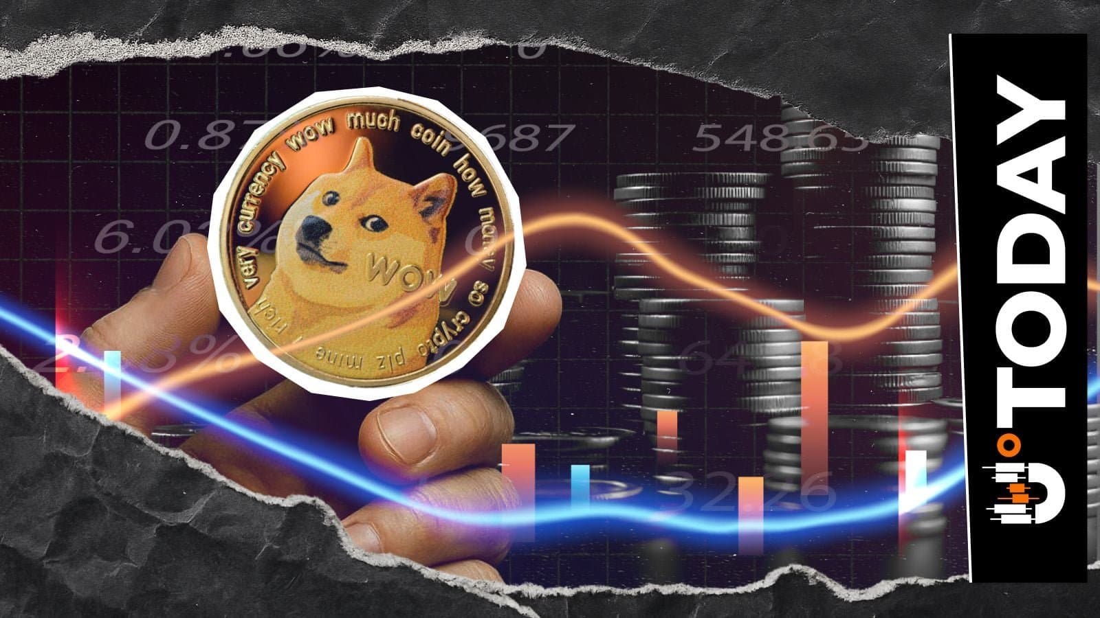 No Dogecoin Short Positions Liquidated Over 12 Hours Amid Market Pause