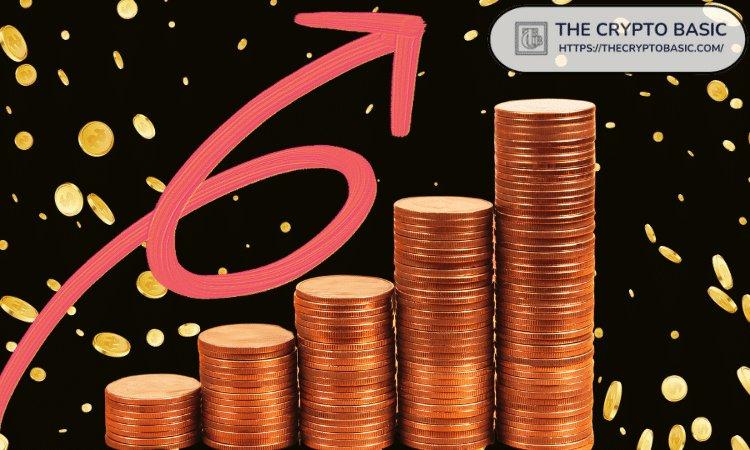 Trader Converts $838 Into $1.04 Million via CASHCAT Coin