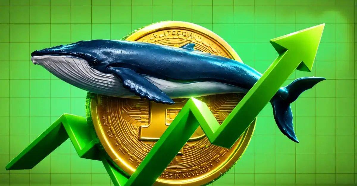 Crypto Whales Start Accumulating Specific Altcoins