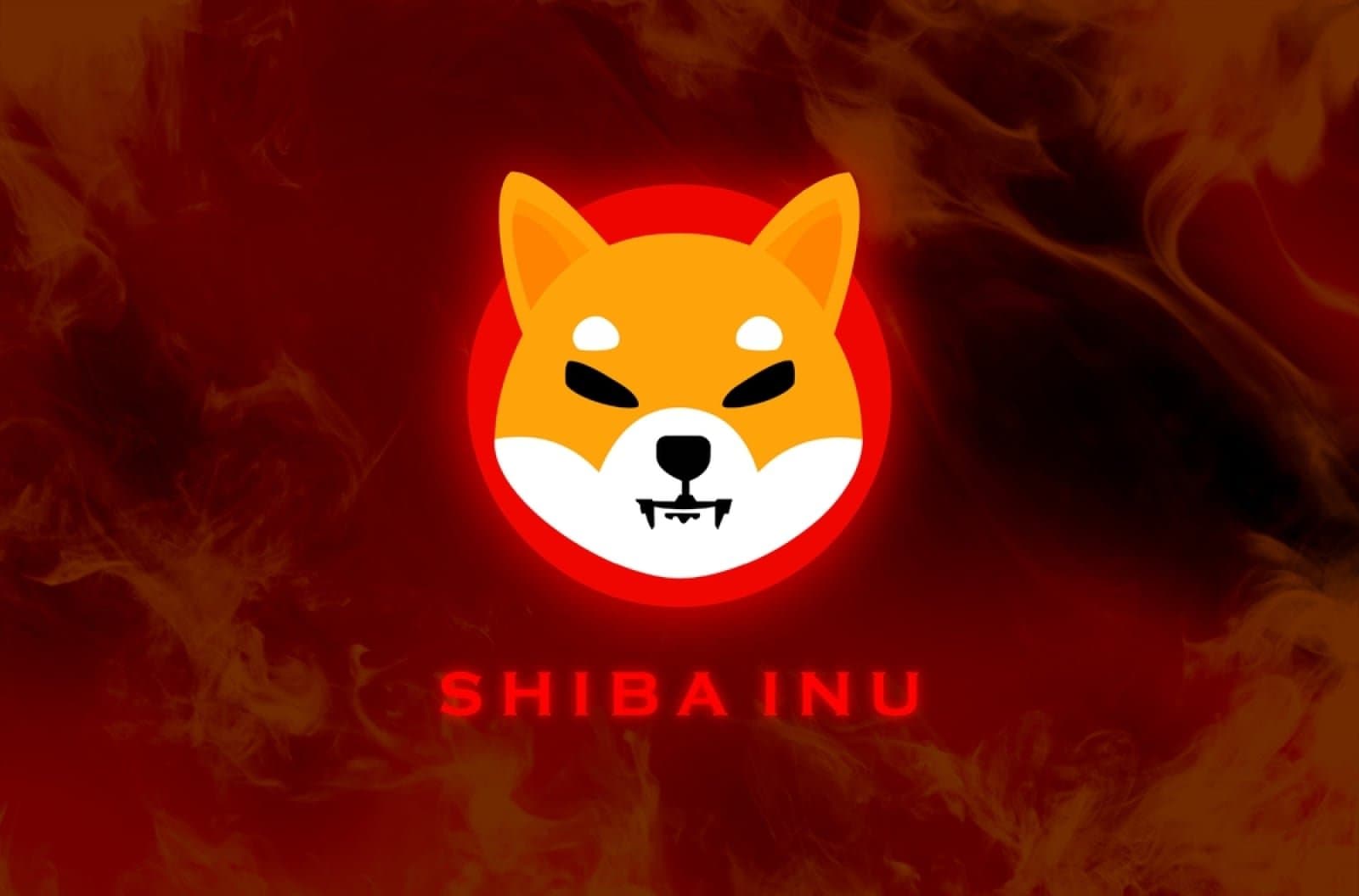 Shiba Inu Sees 65% Drop in Daily Token Withdrawals from Exchanges
