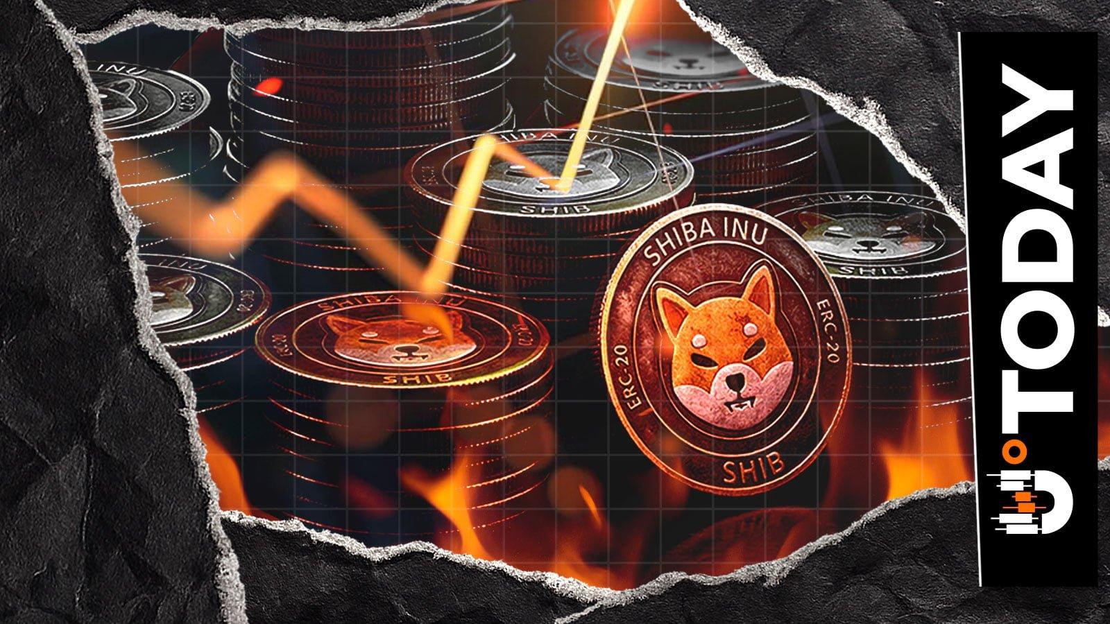 Significant SHIB Token Burn Registered as Shiba Inu Market Recovers