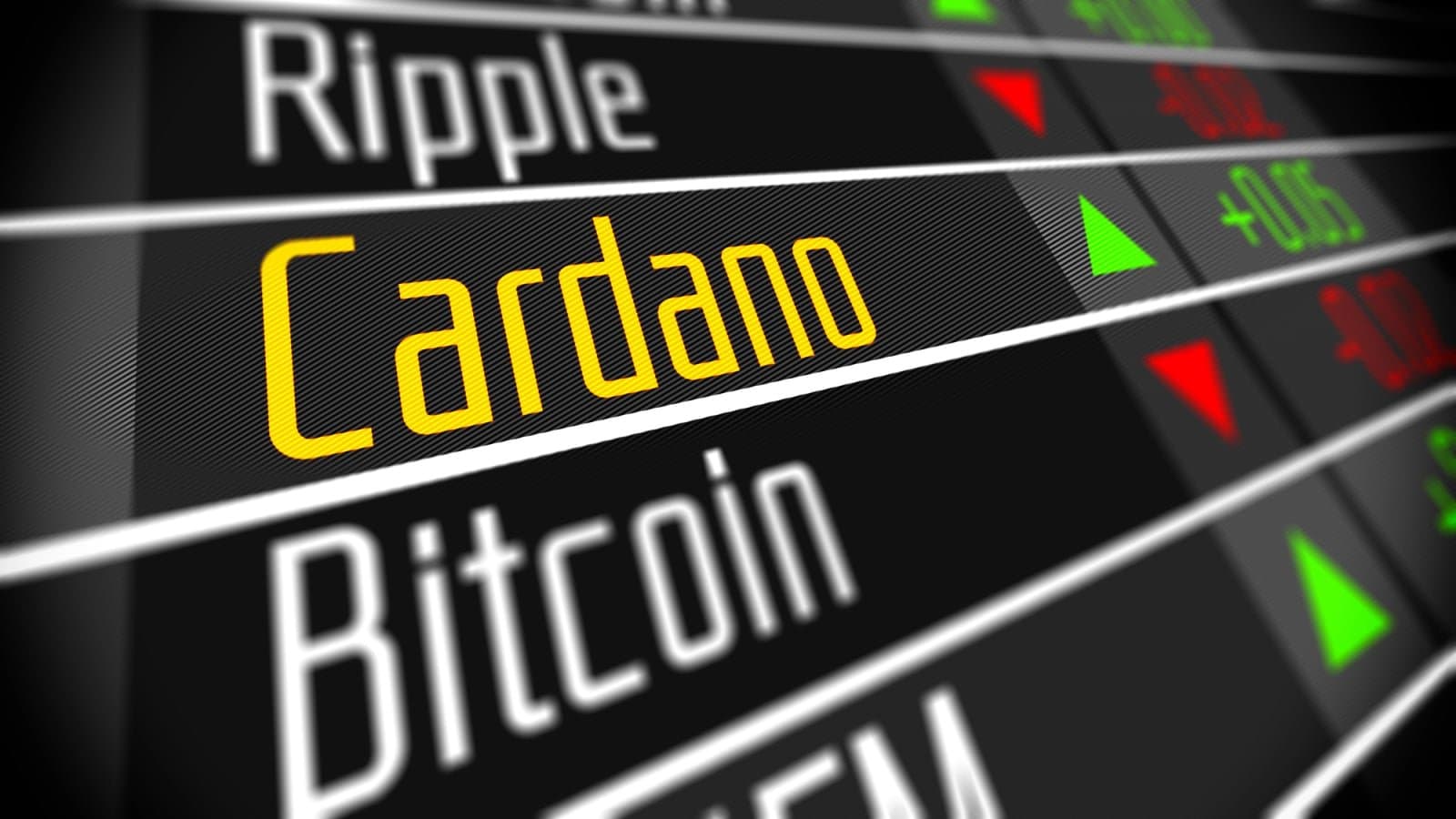 Wealthy Investors Accumulate Cardano as Retail Traders Sell Off