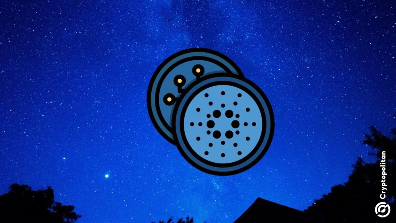 Wanchain Bridge Hack Drains $13M in NIGHT Tokens, Exchanges Freeze Transfers