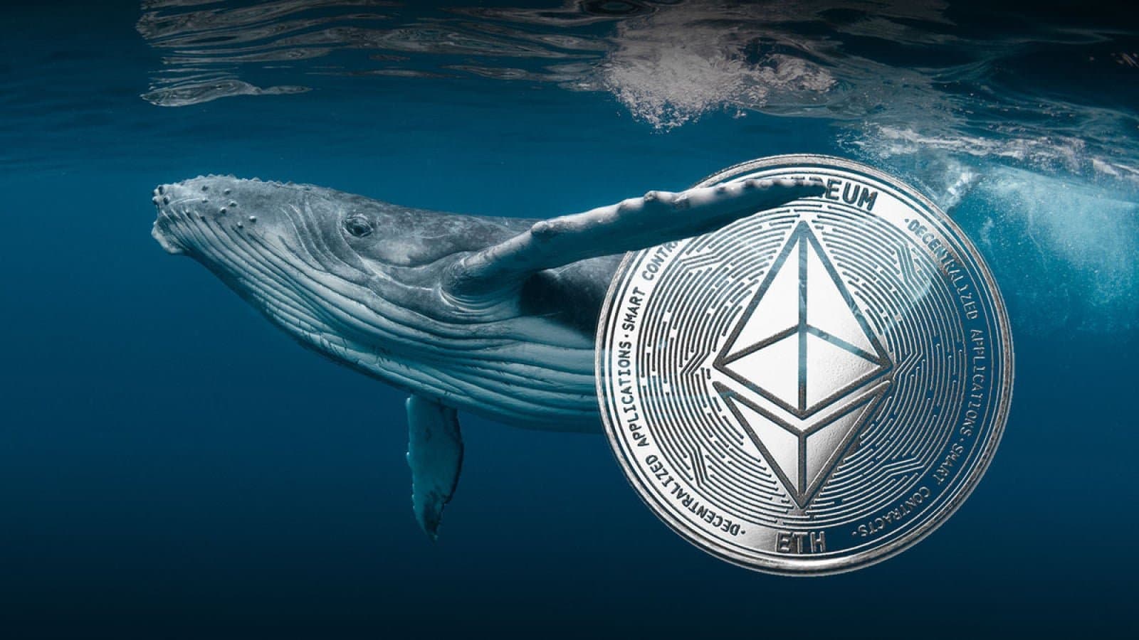 Ethereum Wallet Holding 2,000 ETH Reactivated After 11 Years