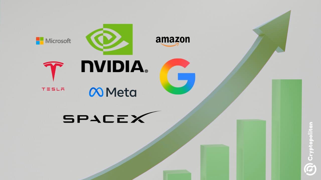 Tokenized Equity Holders Surge to New Highs with Robinhood Leading Growth