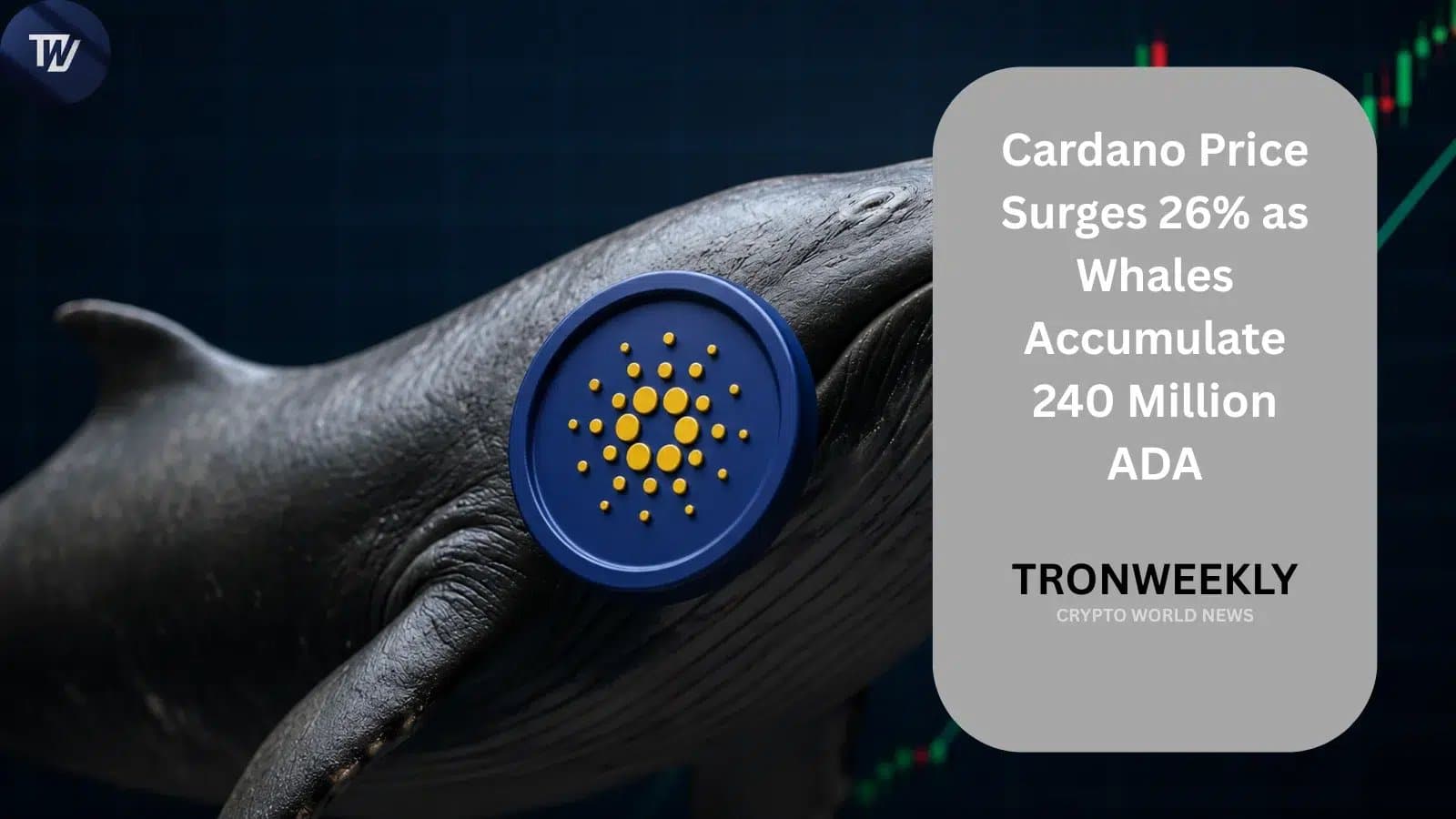 Cardano climbs 26% as giant holders scoop up 240 million ADA in five days