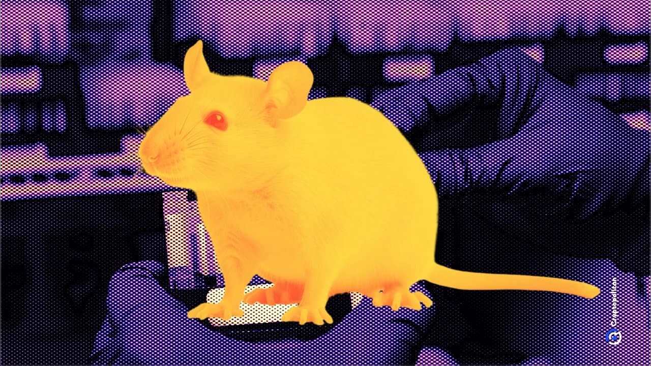 USC Study Finds Hormone Thymulin Reverses Age-Related Inflammation in Mice