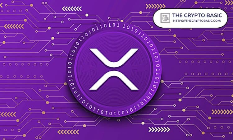 Dramatic Decline in XRP Whale Transactions Over $1 Million