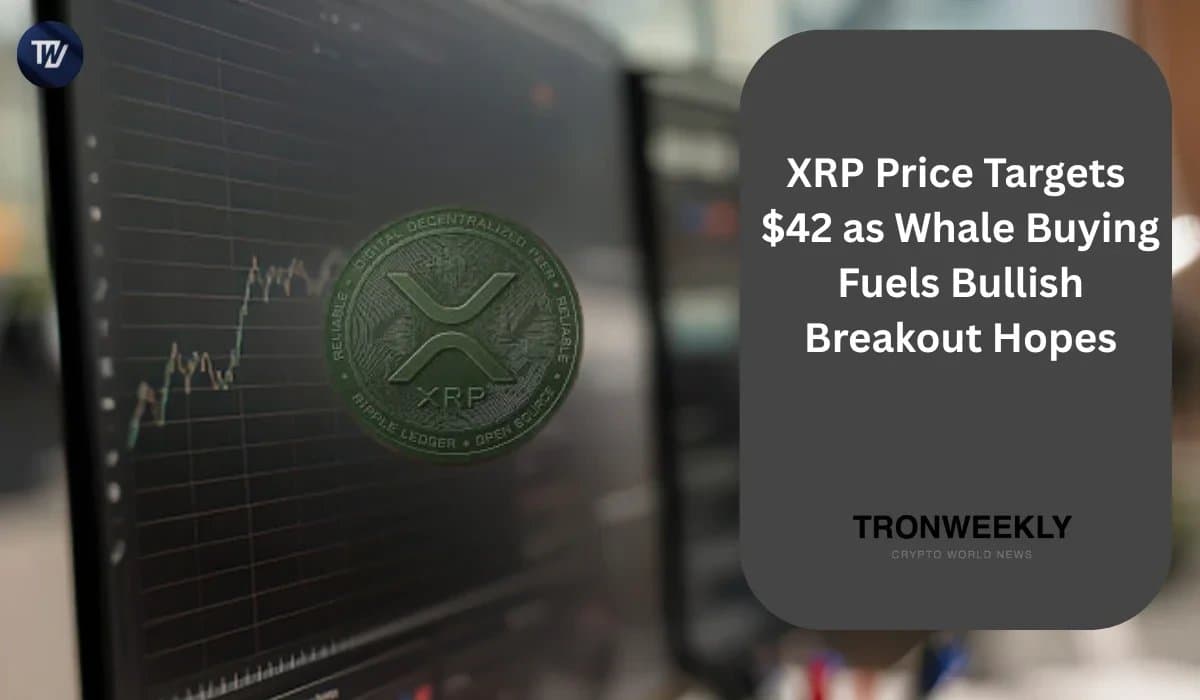 XRP Price Could Reach $42 Amid Whale Accumulation and Technical Signals