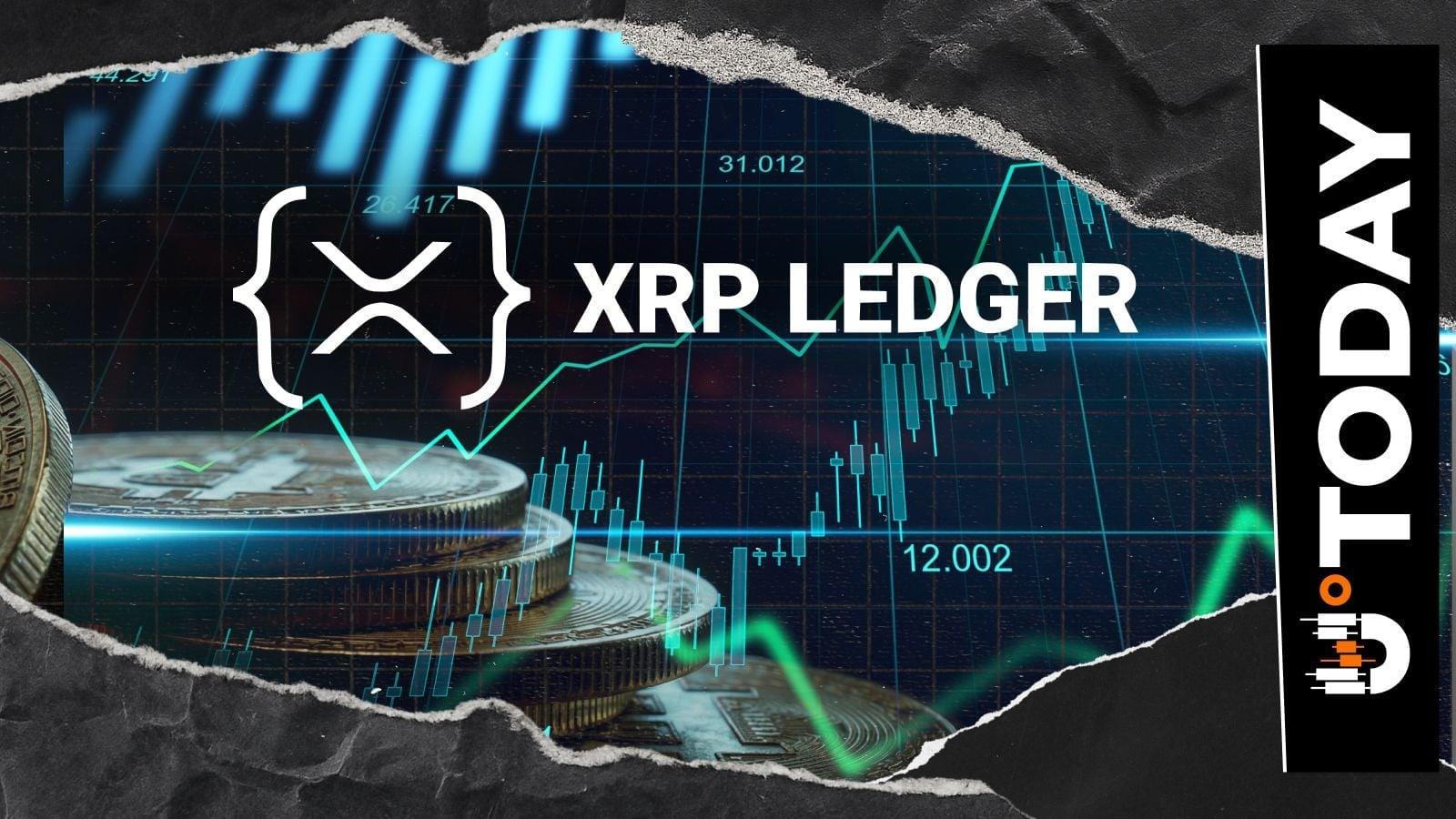 Ripple Stablecoin Now Holds Majority Share of Supply on XRP Ledger