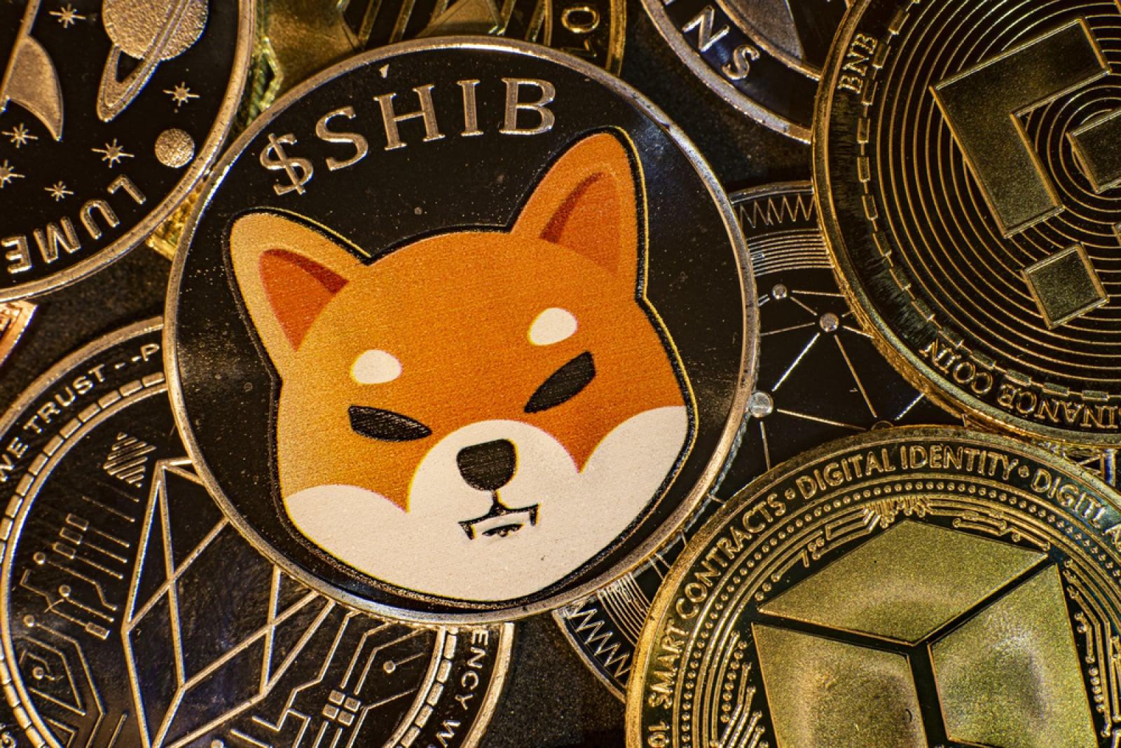 500 Billion SHIB Floods Into Exchanges: What Does This Mean for the Token's Price?